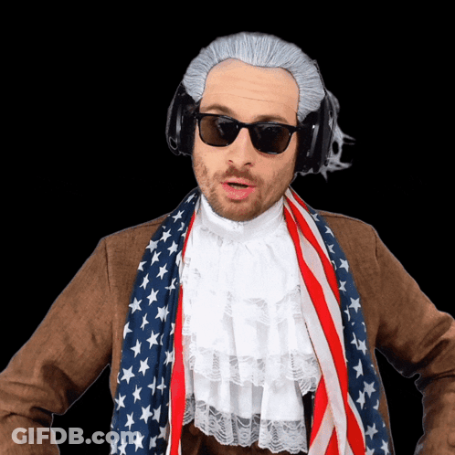 Man Wearing Wig Sunglasses And American Flag Scarf GIF