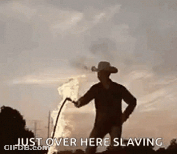 Man Whipped The Fire GIF