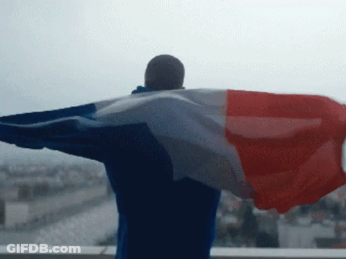 Man With Arms Outstretched Holding Flag GIF