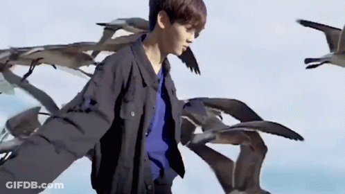 Man With Arms Outstretched In Front Of Seagulls GIF