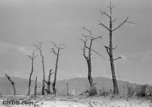 Man With Backpack In Park GIF