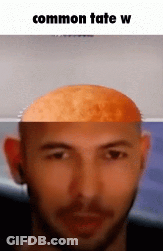 Man With Beard And Bald Head Common Tate W GIF