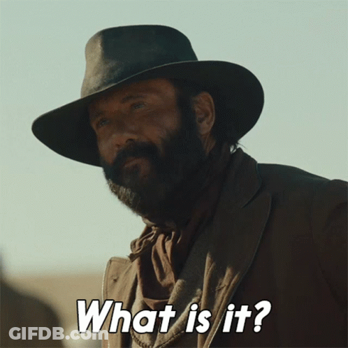 Man With Beard And Cowboy Hat Saying What GIF