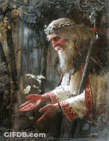 Man With Beard And Crown GIF