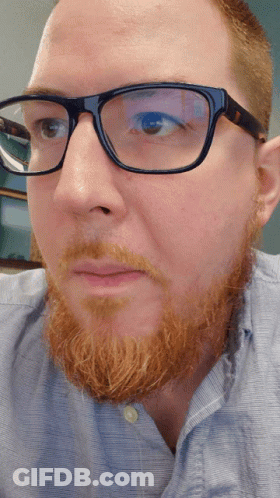 Man With Beard And Glasses Looking At Camera GIF