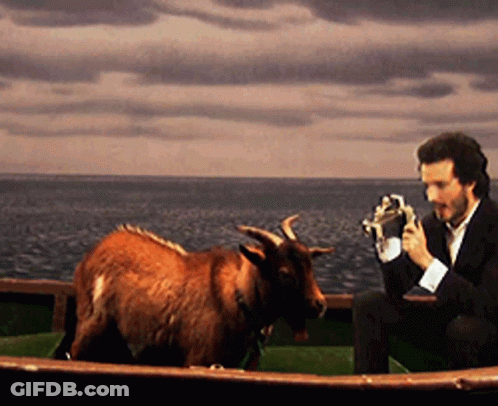 Man With Beard And Hat GIF