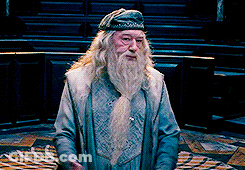 Man With Beard And Hat GIF