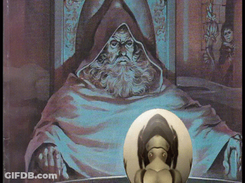 Man With Beard And Hood GIF