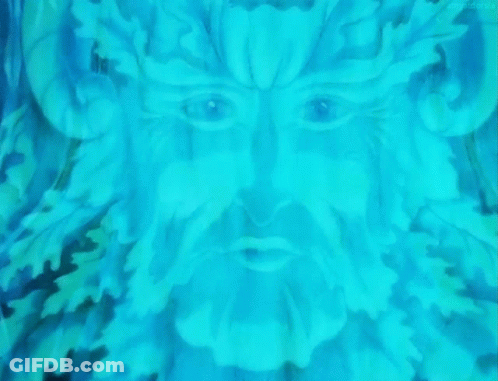 Man With Beard And Leaves On Face GIF