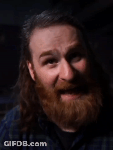 Man With Beard And Long Hair Looking At Camera GIF