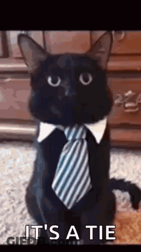 Man With Beard And Mustache And Hat GIF