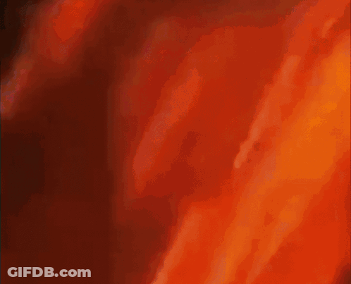 Man With Beard And Red Hair In Green Jacket And Red Hat GIF