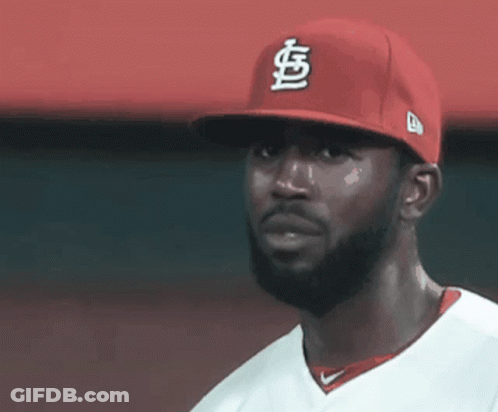 Man With Beard And Red S Hat GIF