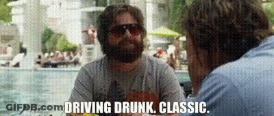 Man With Beard And Sunglasses Driving Drunk Talking To Another GIF