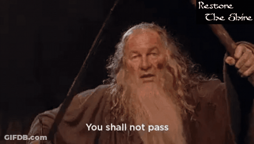 Man With Beard And Sword Says You Shall Not Pass GIF