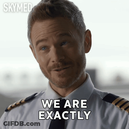 Man With Beard And Tie Saying We Are Exactly GIF