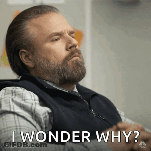 Man With Beard And Vest Says I Wonder Why GIF