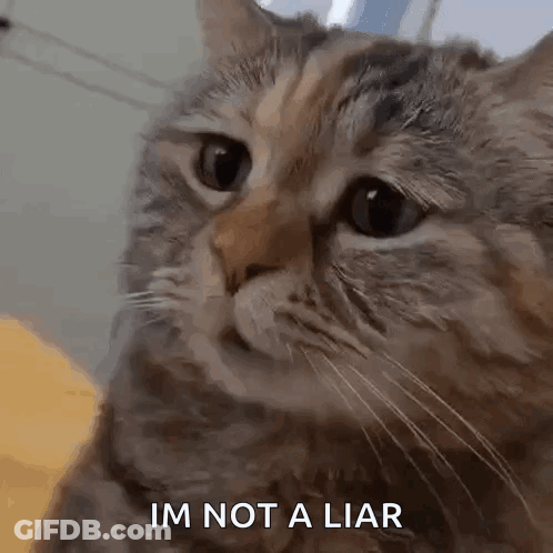 Man With Beard Asking Liar Liar Pants On Fire GIF