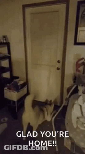 Man With Beard Crying Saying She Can't Keep Getting Away GIF