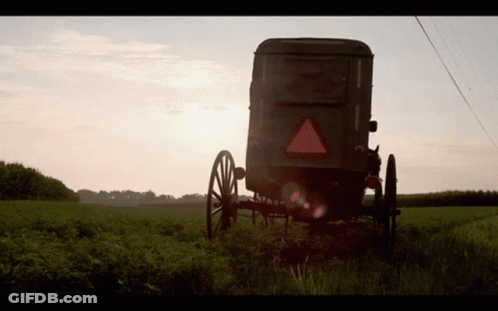 Man With Beard Hat And Suspenders Smiling GIF