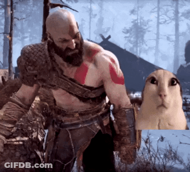Man With Beard Holding Picture Of Cat GIF