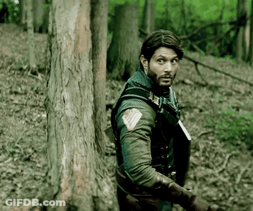 Man With Beard Holding Shield And Sword GIF