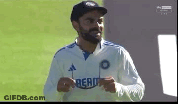 Man With Beard Holding Sunglasses GIF