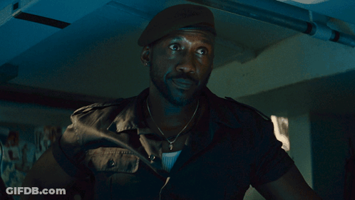 Man With Beard In Black Beret GIF