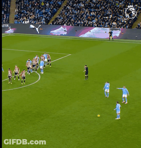 Man With Beard In Blue Shirt With Lion GIF