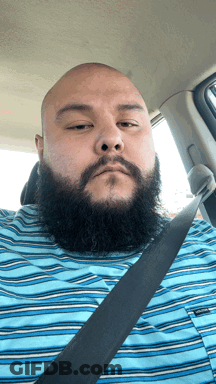 Man With Beard In Blue Striped Shirt GIF