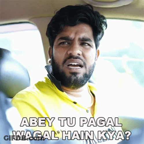 Man With Beard In Car Says Abey Tu Pagal Wagal Hain Kya GIF