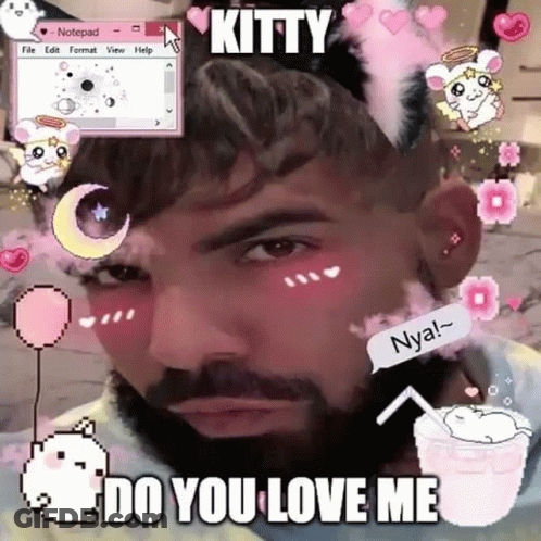 Man With Beard In Cat Ear Headband Says Kitty Do You Love Me GIF