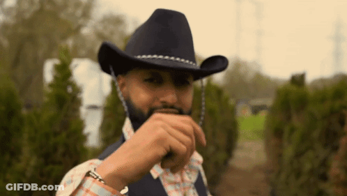 Man With Beard In Cowboy Hat And Plaid Shirt GIF