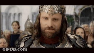 Man With Beard In Crown And Armor GIF