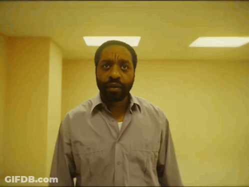 Man With Beard In Grey Shirt Looking At Camera GIF