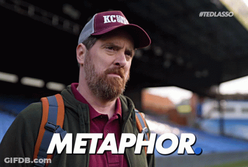Man With Beard In KC Hat Says Metaphor GIF