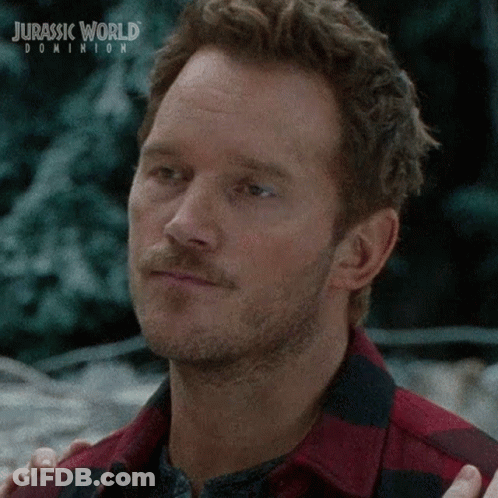Man With Beard In Plaid Shirt GIF