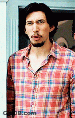 Man With Beard In Plaid Shirt GIF