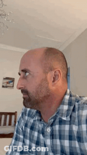 Man With Beard In Plaid Shirt GIF