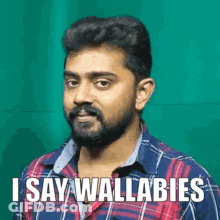Man With Beard In Plaid Shirt Says I Say Wallabies GIF