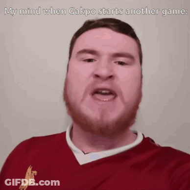 Man With Beard In Red Lion Shirt GIF