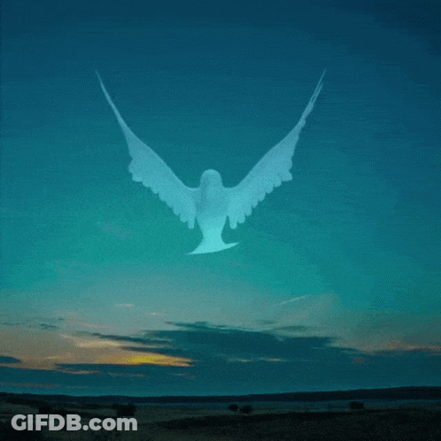 Man With Beard In TLC White Shirt GIF