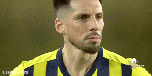 Man With Beard In Yellow Blue Striped Shirt Saying Performance GIF