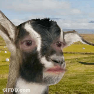 Man With Beard Kuldeep GIF