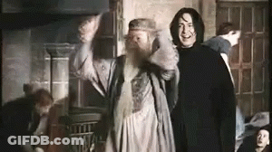 Man With Beard Next To Man In Black Robe GIF