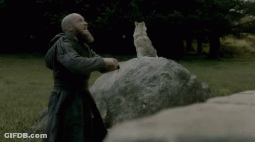 Man With Beard Next To Rock With Wolf GIF