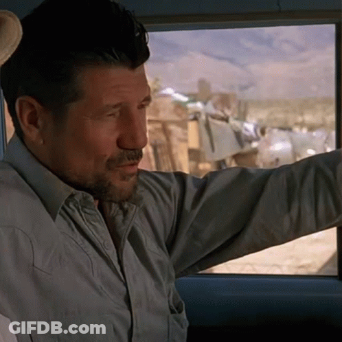 Man With Beard Pointing Out Car Window GIF