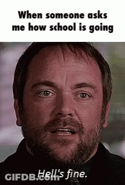 Man With Beard Saying How School Is Going GIF