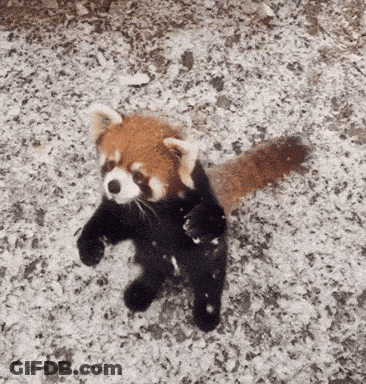 Man With Beard Saying I Don't Trust You GIF