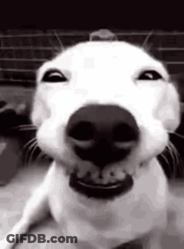 Man With Beard Saying I'm Tired GIF